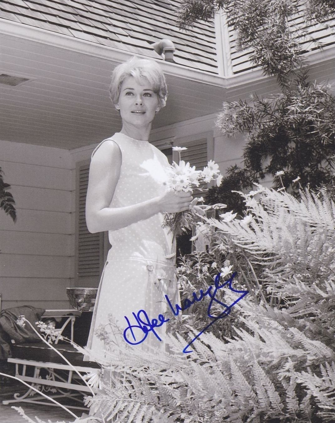 Hope Lange